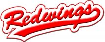 B.C. Main-Taunus Redwings e.V.